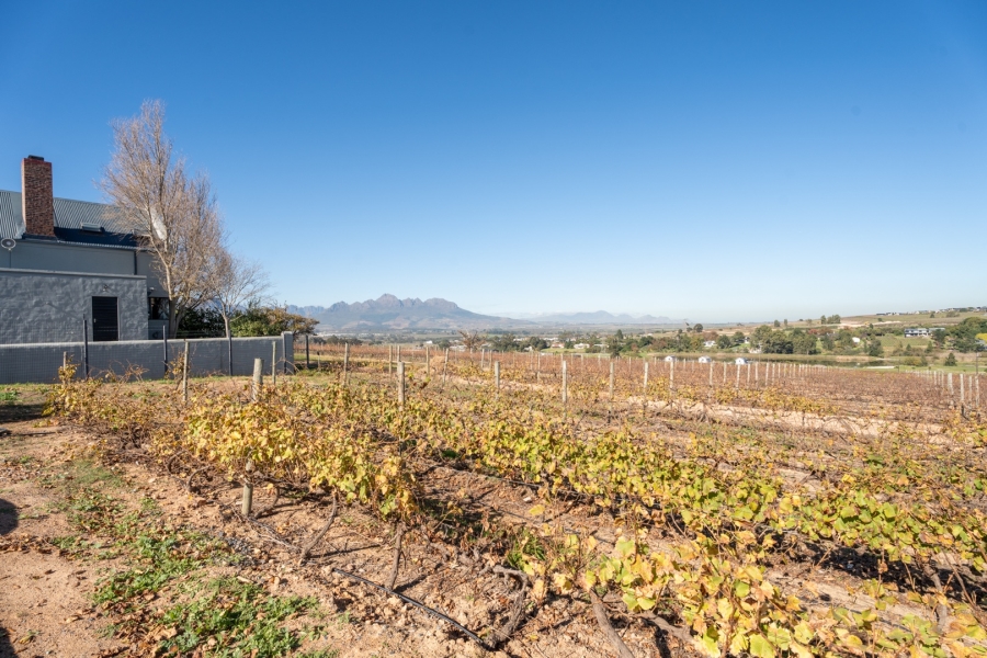 To Let 2 Bedroom Property for Rent in Stellenbosch Farms Western Cape